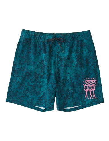 Riot Layback 17" Boardshorts en ligne