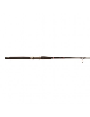 Stellar® Boat Spinning Rods Par le système avancé 