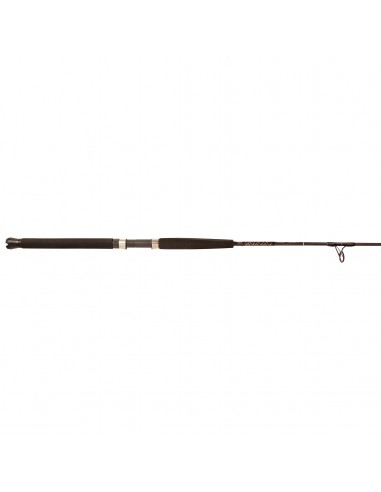 Sequence Jigging Spinning Rods store