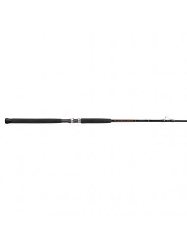 Delux Boat Conventional Rods - Foul Proof Guides Jusqu'à 80% De Réduction