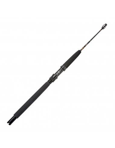 Delux Kite Rod Jusqu'à 80% De Réduction