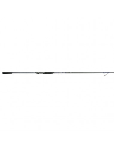 VPR Surf Spinning Rods acheter