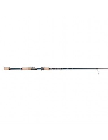 Plasma II Inshore Spinning Rods ouvre sa boutique