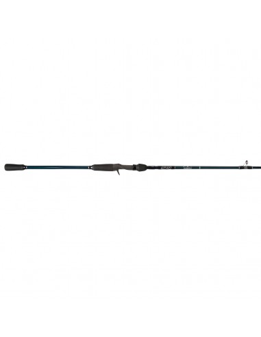 Plasma II Slow Pitch Jigging Rods l'évolution des habitudes 