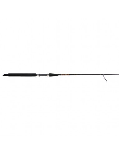 Paraflex LT Boat Spinning Rods le des métaux précieux