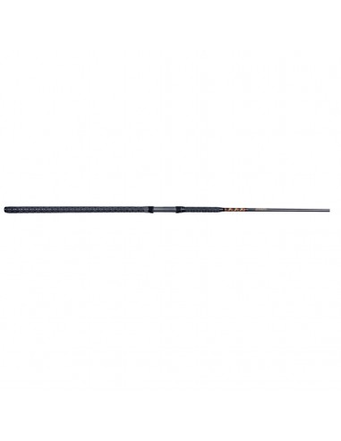 Paraflex Surf Spinning Rods en ligne des produits 